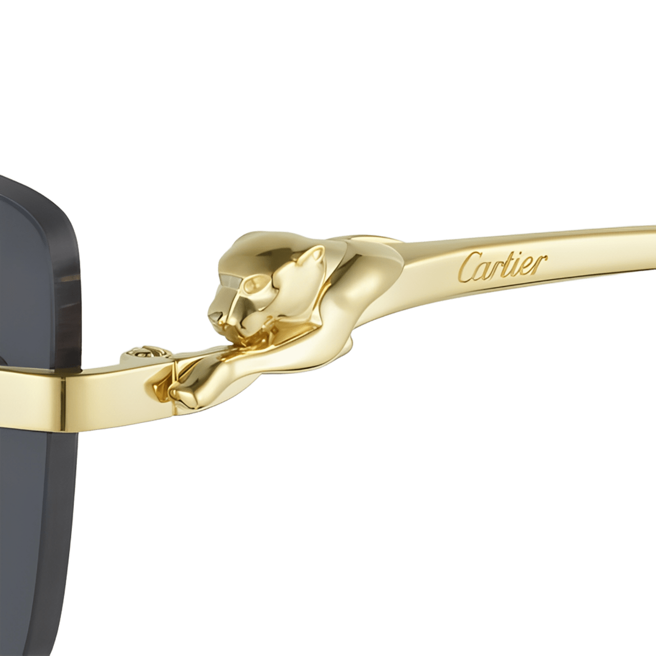 Gafas Cartier Panthere - UV400 | Precio de Costo 2